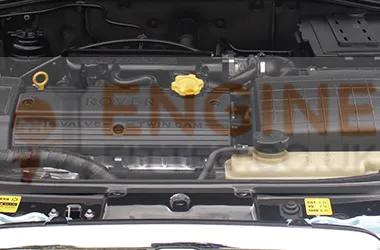 Rover engine replacement cost