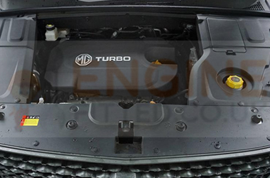 Mg Hector Diesel engine replacement cost