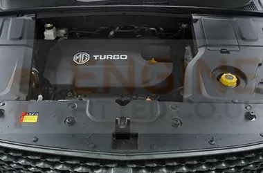 Mg Hector Diesel engine replacement cost